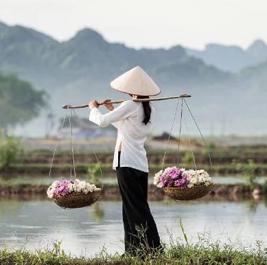 Gánh Hàng Rong: The Symbol of Resilience and Joy Behind Vui